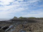 SX22711 Worms Head.jpg